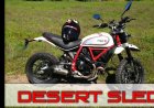 DUCATI - Desert Sled